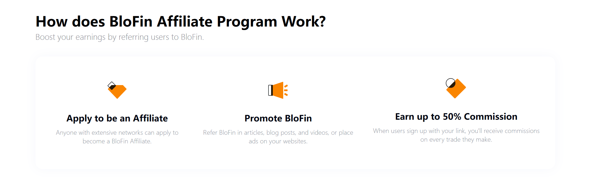 BloFin program partnerski