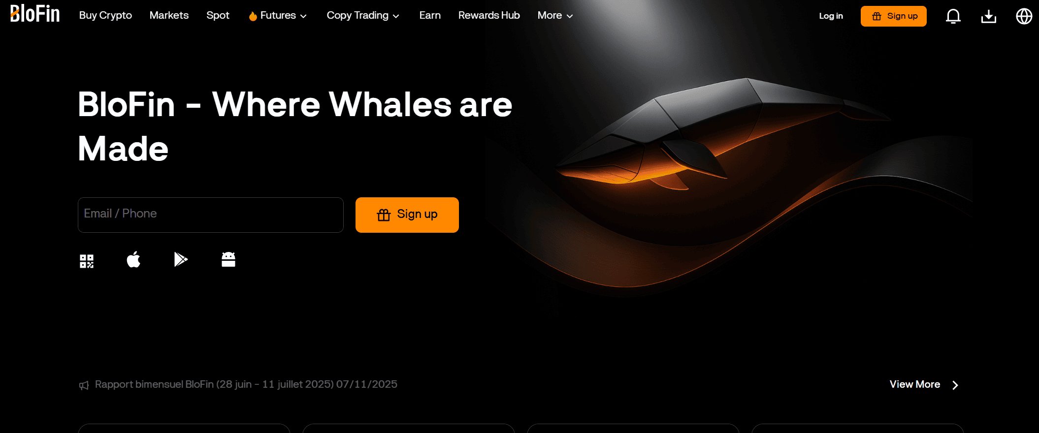 BloFin strona internetowa